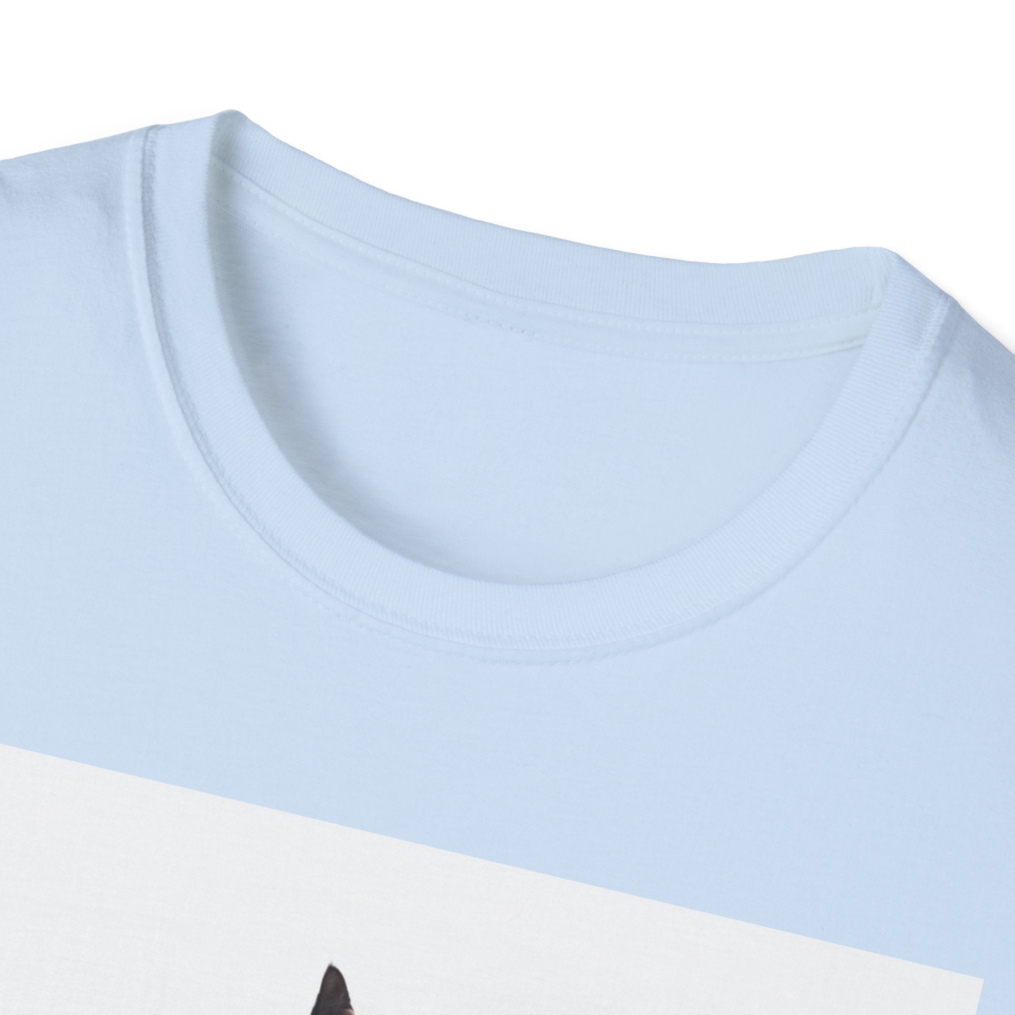 CATEES | The Swagger Series | Unisex Funny Cat Graphic Tee