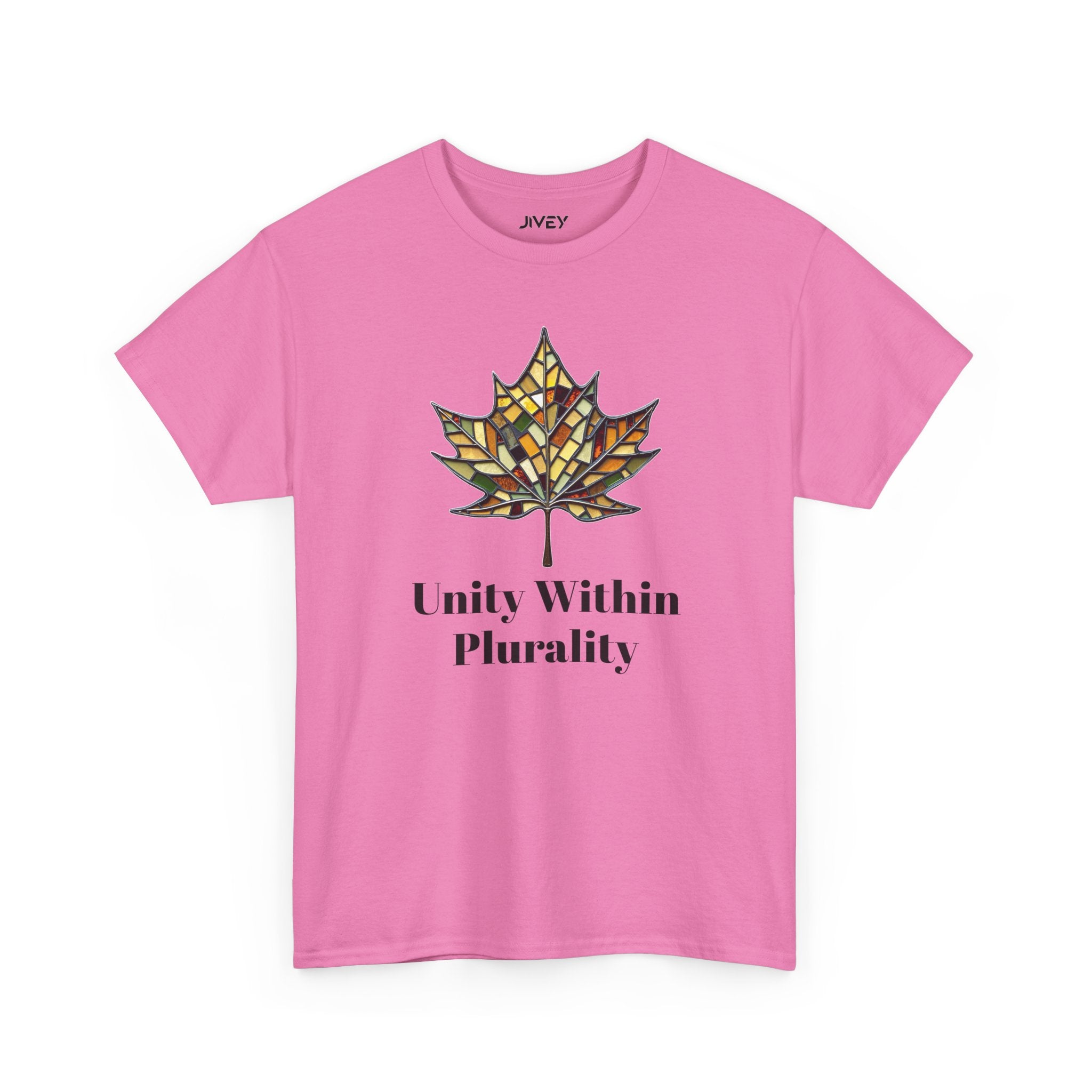 Unity Within Plurality Tee