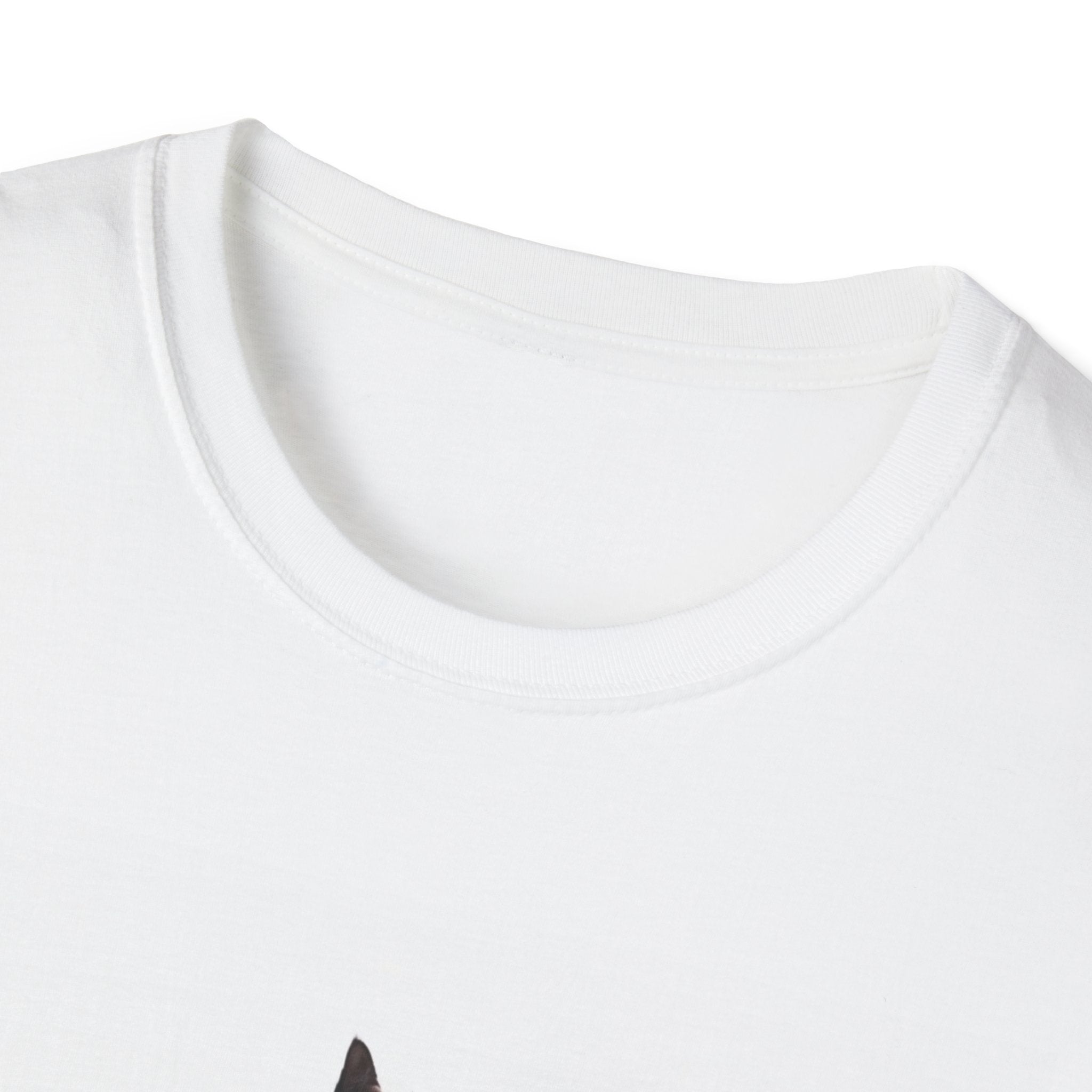 CATEES | The Swagger Series | Unisex Funny Cat Graphic Tee