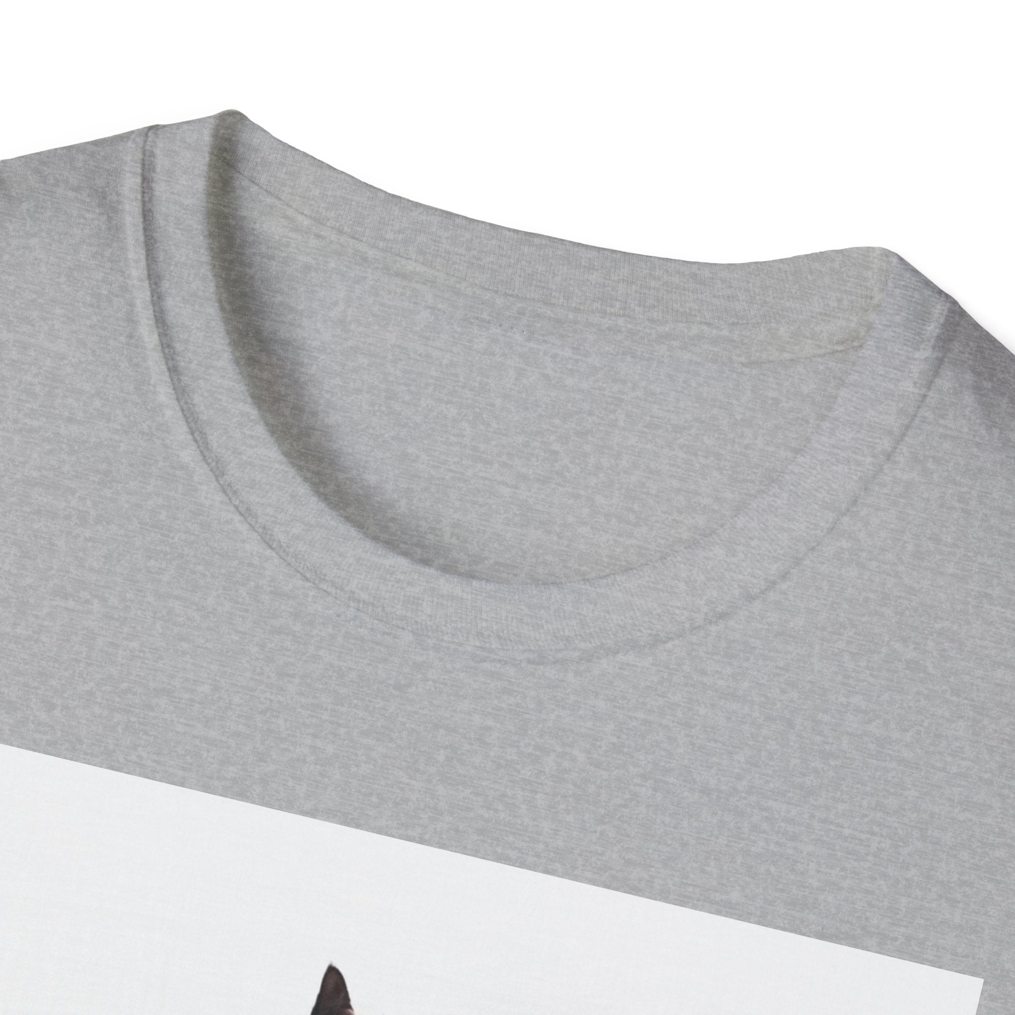 CATEES | The Swagger Series | Unisex Funny Cat Graphic Tee