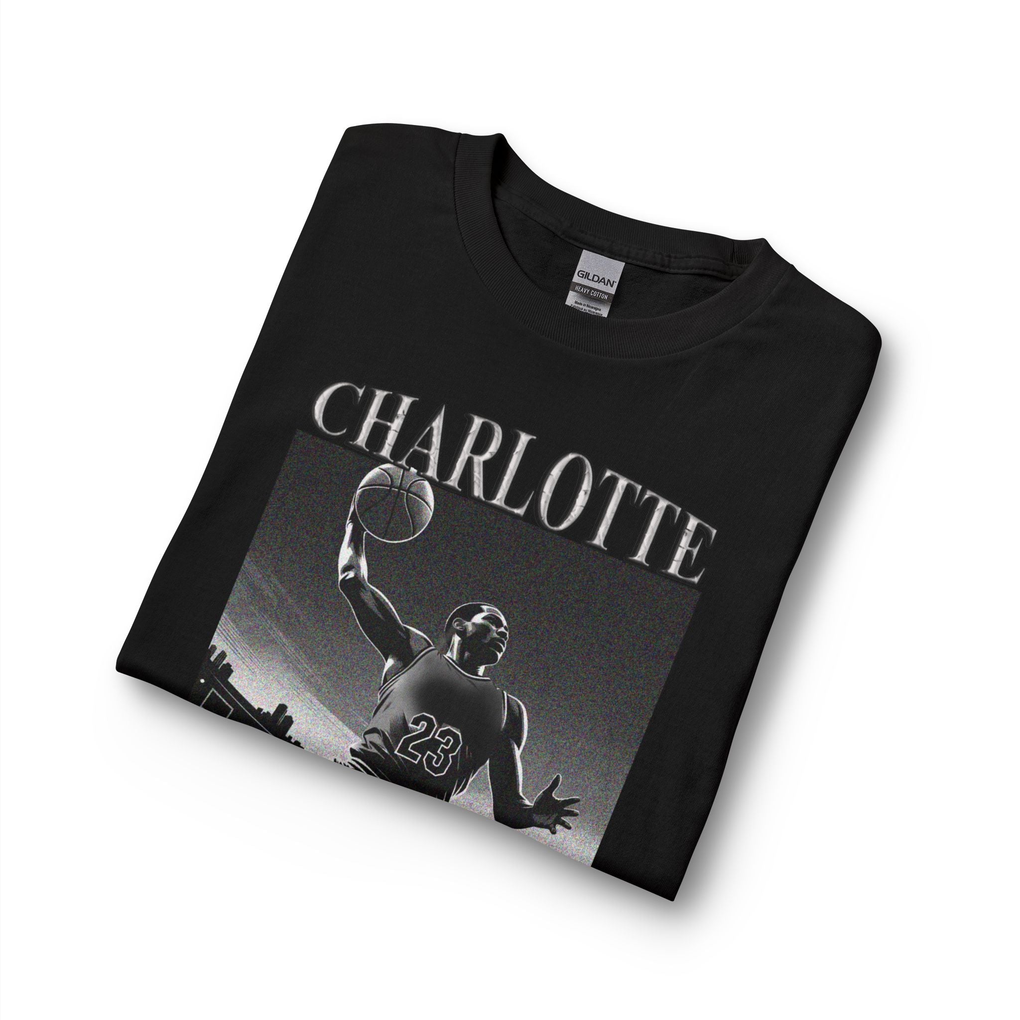Charlotte Basketball long Sleeves